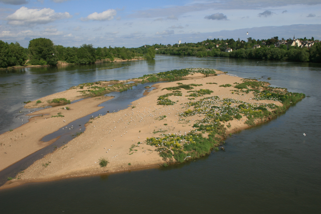 La Loire - Ilot Saint Brice